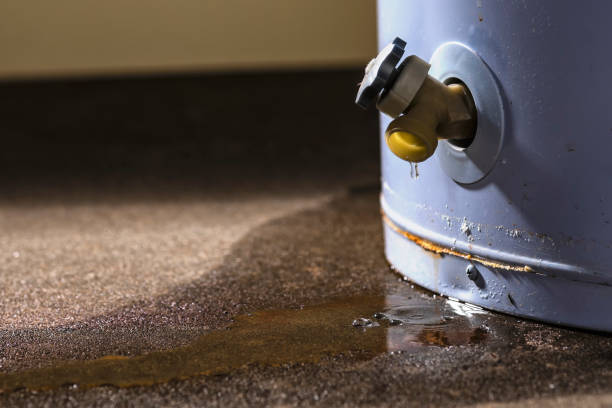 Petersburg, WV Water damage restoration Company
