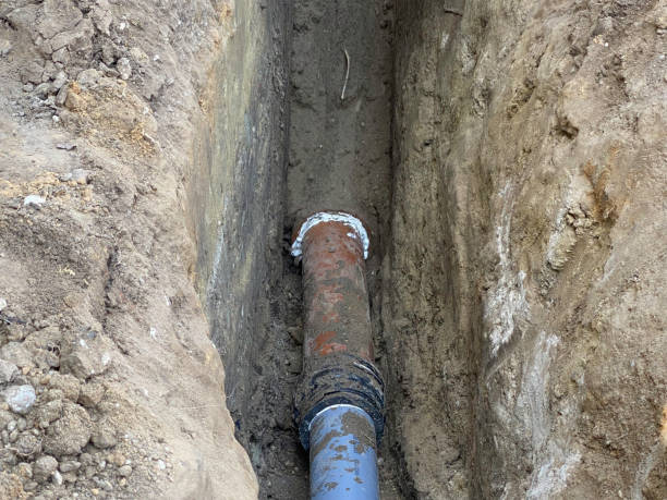 Best Professional water damage repair  in Petersburg, WV