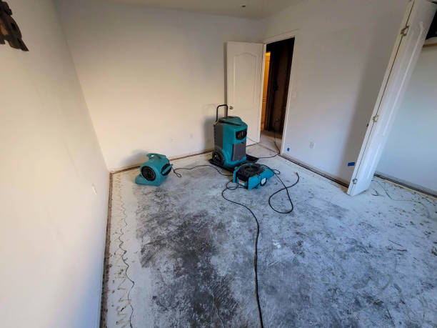Best 24/7 water damage repair  in Petersburg, WV