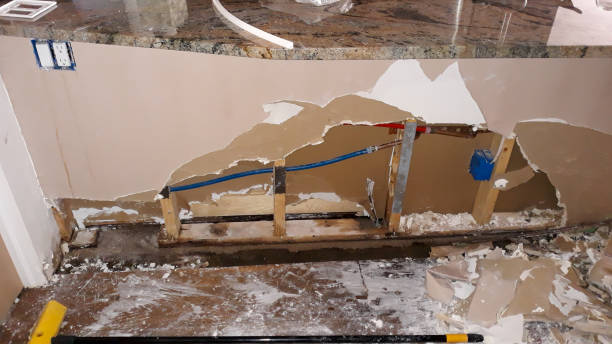 Best Sewage cleanup and water damage restoration  in Petersburg, WV
