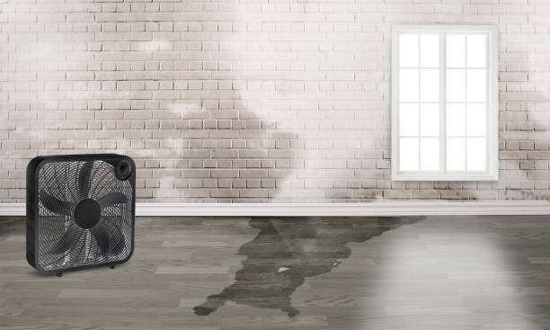 Best Flood restoration services  in Petersburg, WV