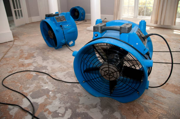 Best 24-hour water damage restoration  in Petersburg, WV