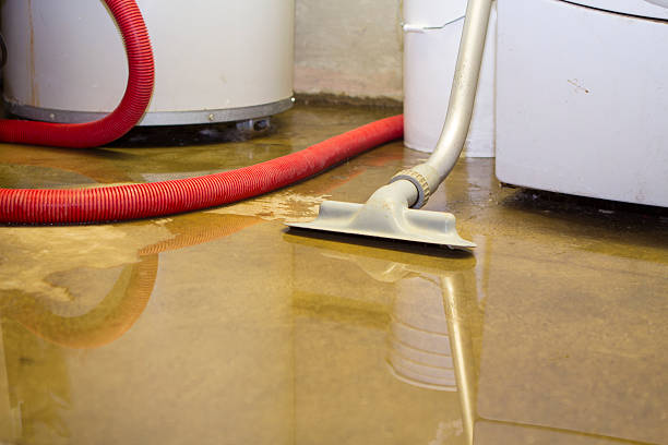 Best Emergency water damage restoration  in Petersburg, WV