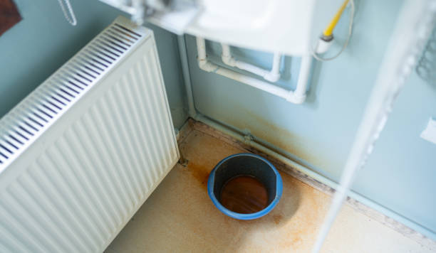 Best Water damage restoration near me  in Petersburg, WV