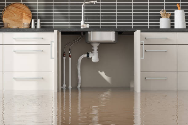 Water damage restoration mold remediation in Petersburg, WV